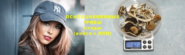 таблы Михайловск