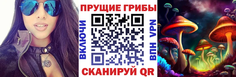 Псилоцибиновые грибы Psilocybine cubensis  Купить  Алапаевск 